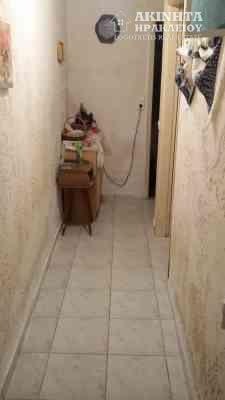 20191018_131215_LLS.jpg